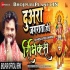 Duwara Jagarata Hoi Navratri Remix