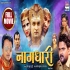 Naagdhari HDRip Bhojpuri Original Print Full Movie 720p