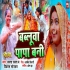 Babalua Papa Bani