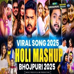Bhojpuri Holi Mashup 2025 Non-Stop Remix