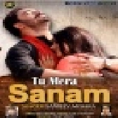 Tu Mera Sanam - Hindi Love Song