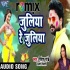 Juliya Re Juliya Holi Remix Dj Song (Ritesh Pandey) 2020 Dj Ravi