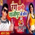 Rang Dali Gajipur Ke Chhora Ho Mp3 Song