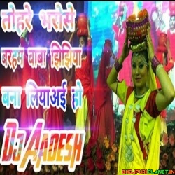 Tohre Bharose Baraham Baba Jhijhiya Navratri Dance Mix Dj Song Dj Aadesh