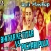 Holi Mashup - Bhitar Ke Titar Vs Pickari Puja Remix - Dj Vivek Sharma