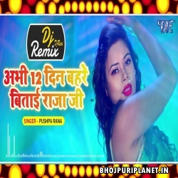 Abhi 12 Din Bahare Bitai Raja ji Remix - Pushpa Rana - Dj Ravi