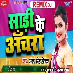 Saari Ke Anchra Remix - Antra Singh Priyanka - Dj Ravi