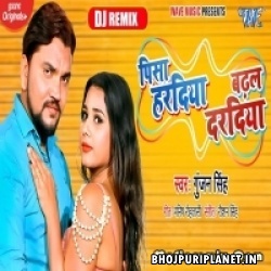 Pisa Haradiya Badhal Daradiya - Remix - Dj Ravi - Gunjan Singh