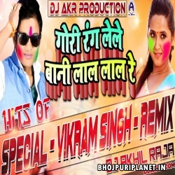 Gori Rang Lele Bani Laal Laal Re - Hli Remix - Dj Akhil