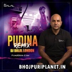 Pudina Official Remix (Remix) - DJ Dalal London