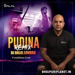 Pudina Official Remix (Remix) - DJ Dalal London