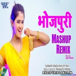 Bhojpuri DJ Dance Mashup Remix 2021