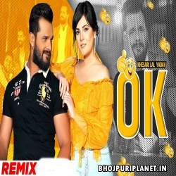 Pahla Pyar Bhulana Hai Dusri Patayenge OK Official Remix