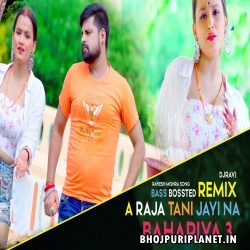 A Raja Tani Jayi Na Bahariya 3 (Remix) Remix By Dj Ravi