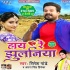 Hay Re Jhulaniya - Ritesh Pandey Mp3 Song