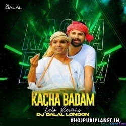 Kacha Badam (Bhojpuri Version Remix) - DJ Dalal London